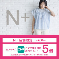 N＋