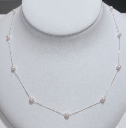 2月19日　　1日限りの超オススメはこちら②