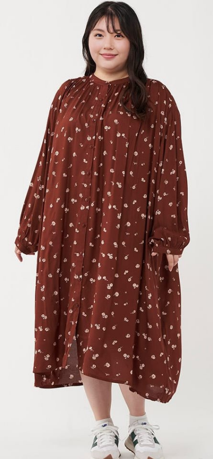 SAREGA　新作入荷