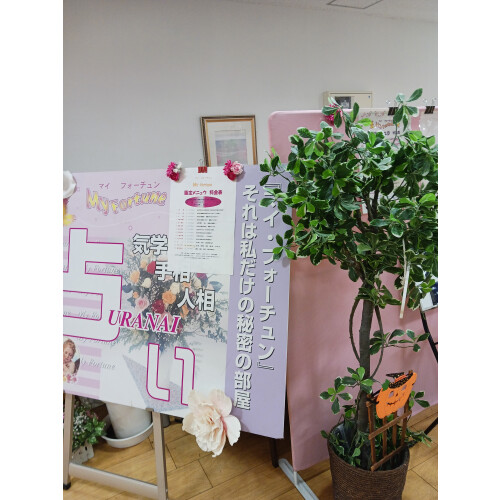 マイフォーチュン