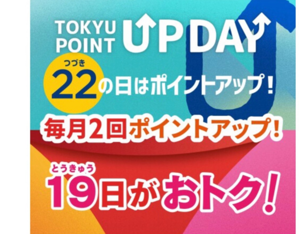 \ベルベット生地の組立式ソファのご紹介/