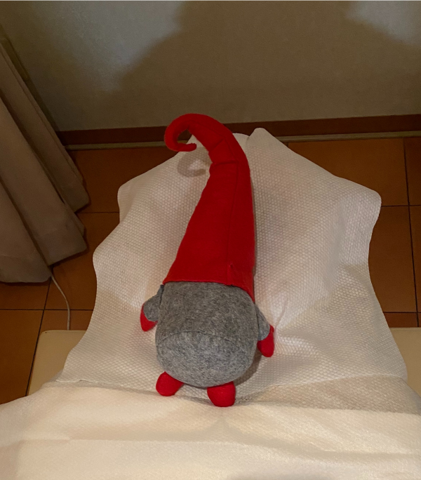 ラフィネのクリスマス♪