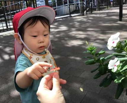 9月　園様子