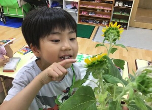7月　園様子