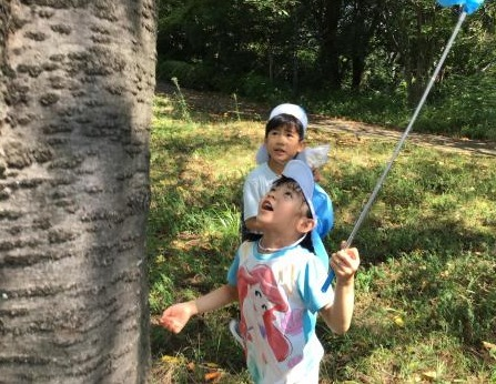 9月　園様子