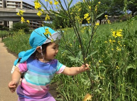 4月　園様子