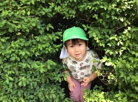 5月　園様子