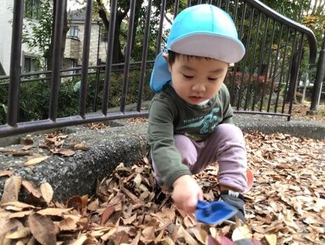 11月　園様子