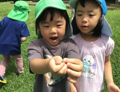 8月　園様子