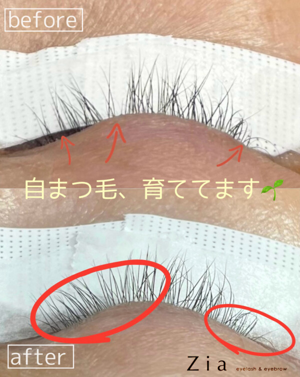 🌿「最近、まつ毛が減った気がする…そんな方へ。」
