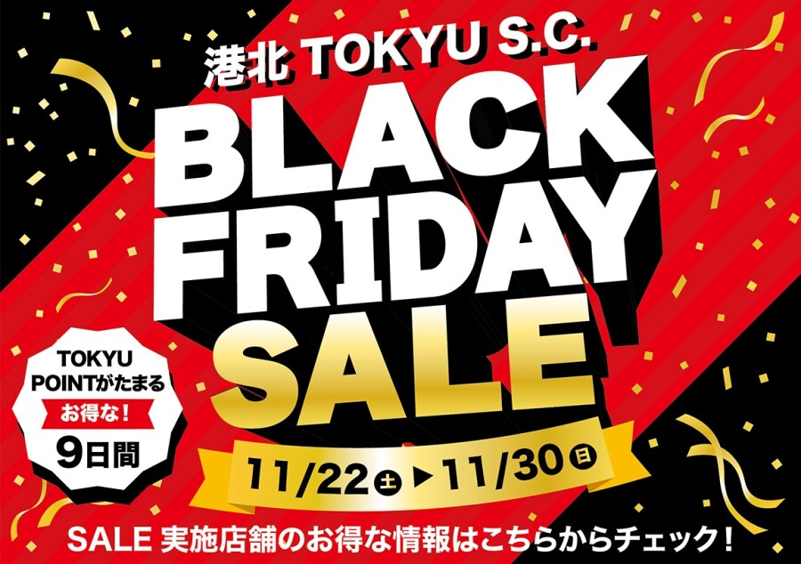 BLACK FRIDAY SALE