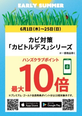 カビトルデス ポイント最大10倍！