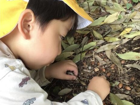 4月　園様子