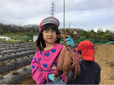 11月　園様子